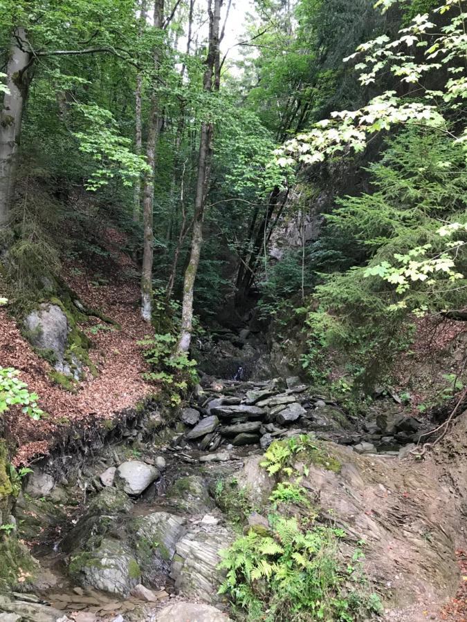 Landhaus Silbach Winterberg Dış mekan fotoğraf