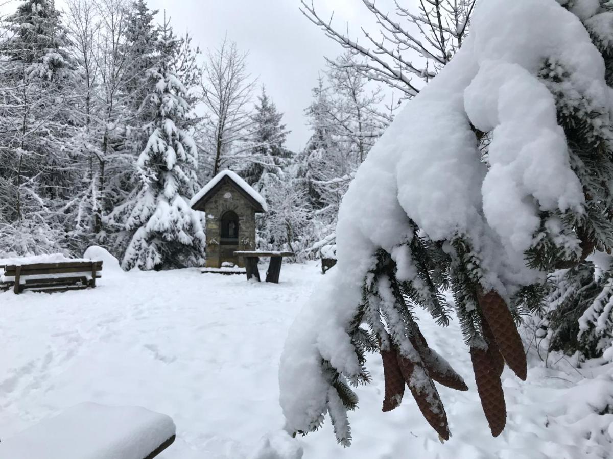 Landhaus Silbach Winterberg Dış mekan fotoğraf